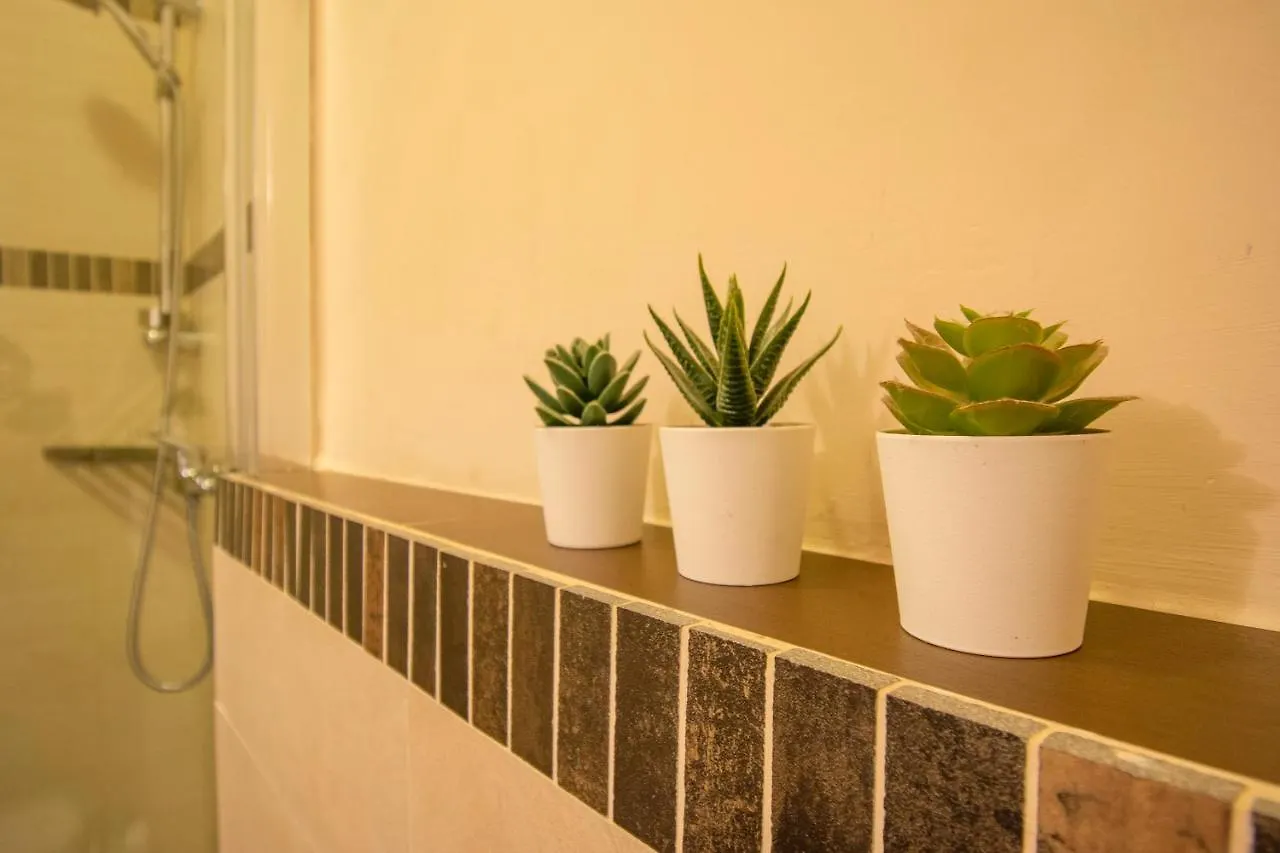 Apartmán Casa Giotto - Tintori Apt Florencie